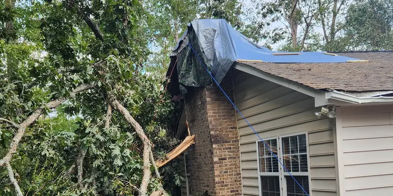 Storm damage: a large tree fallen onto a house beside the chimney, with the damaged roof tarped